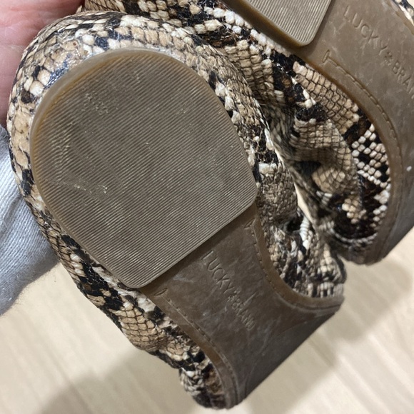 Lucky Brand Snakeskin Ballet Flats - Picture 6 of 6